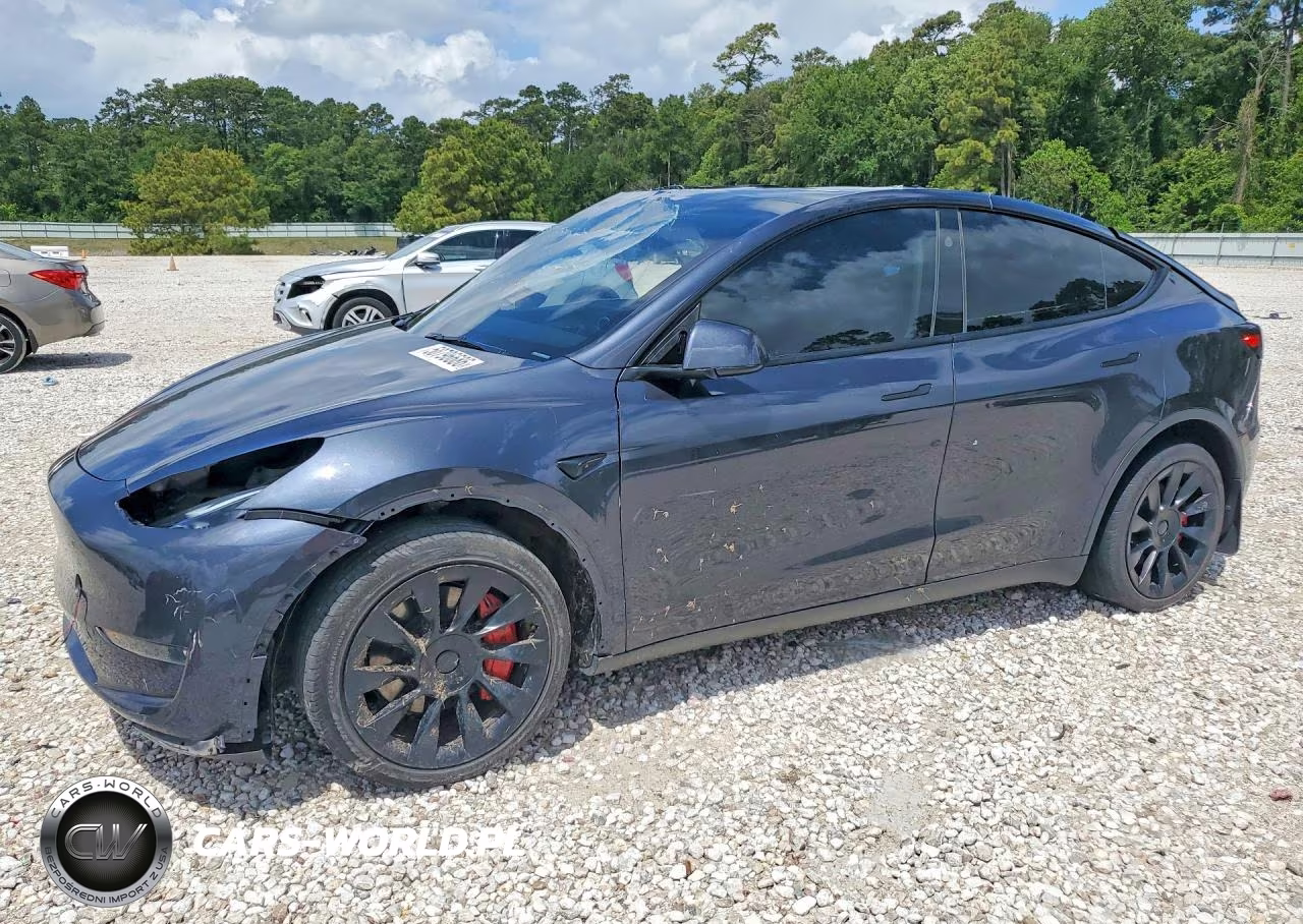 2024 Tesla Model Y