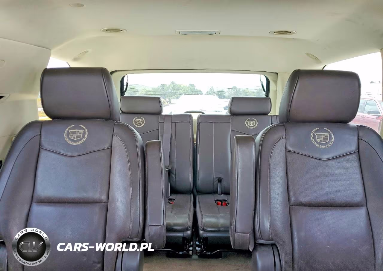 2014 Cadillac Escalade Platinum VIN:1GYS4DEF2ER135575 - 10