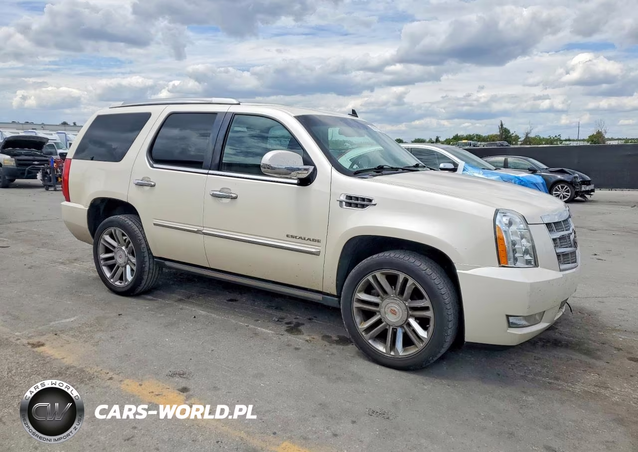 2014 Cadillac Escalade Platinum VIN:1GYS4DEF2ER135575 - 4