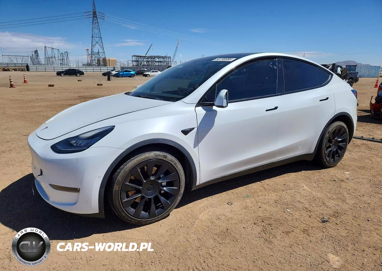 2020 Tesla Model Y