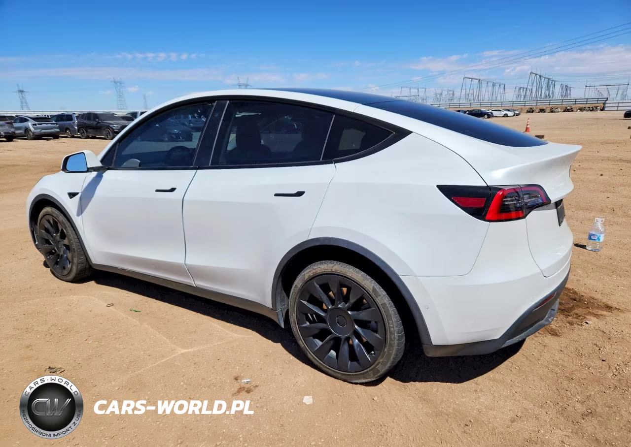 2020 Tesla Model Y VIN:5YJYGDEE2LF041889 - 2