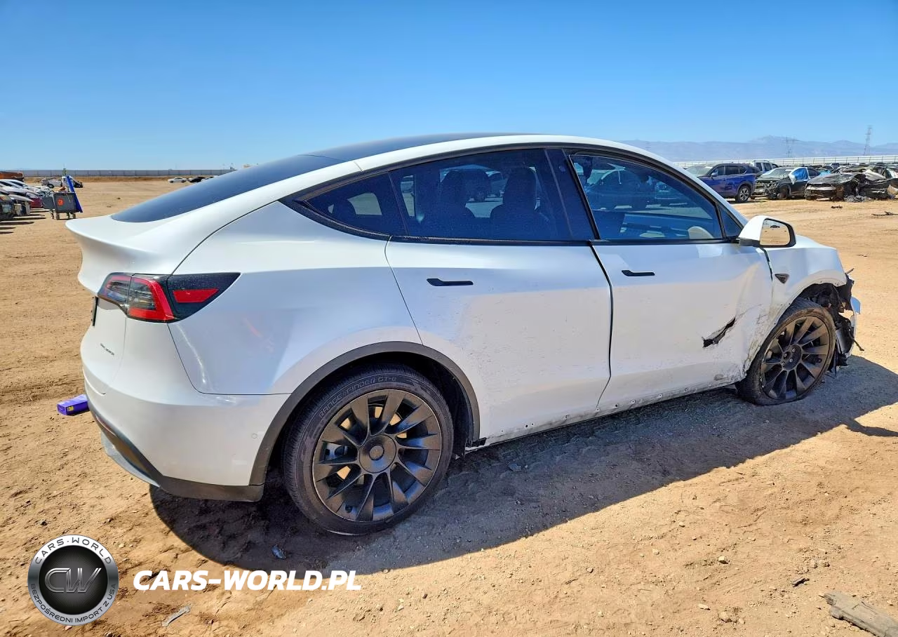 2020 Tesla Model Y VIN:5YJYGDEE2LF041889 - 3