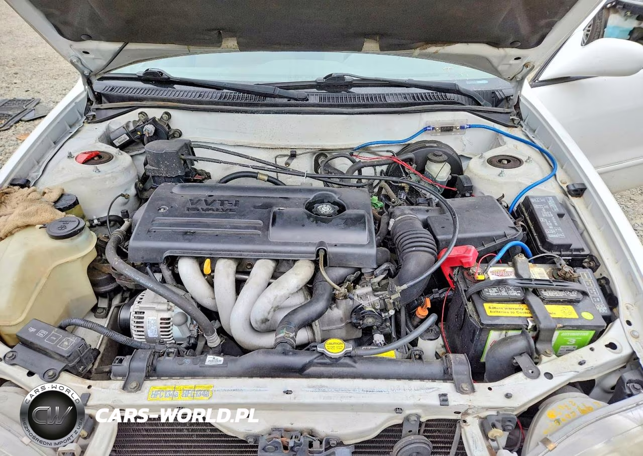 2000 Toyota Corolla Ve VIN:1NXBR12E1YZ364294 - 11
