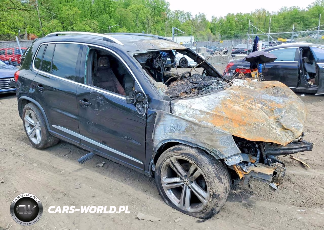 2016 Volkswagen Tiguan S VIN:WVGBV7AX9GW016313 - 4