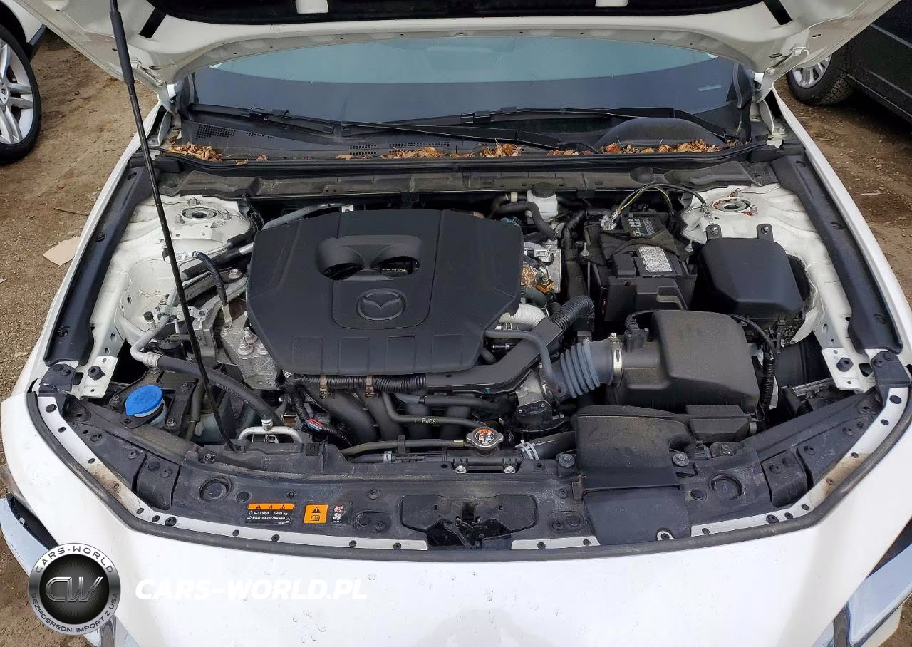 2025 Mazda 3 VIN:3MZBPAAM9SM456040 - 11