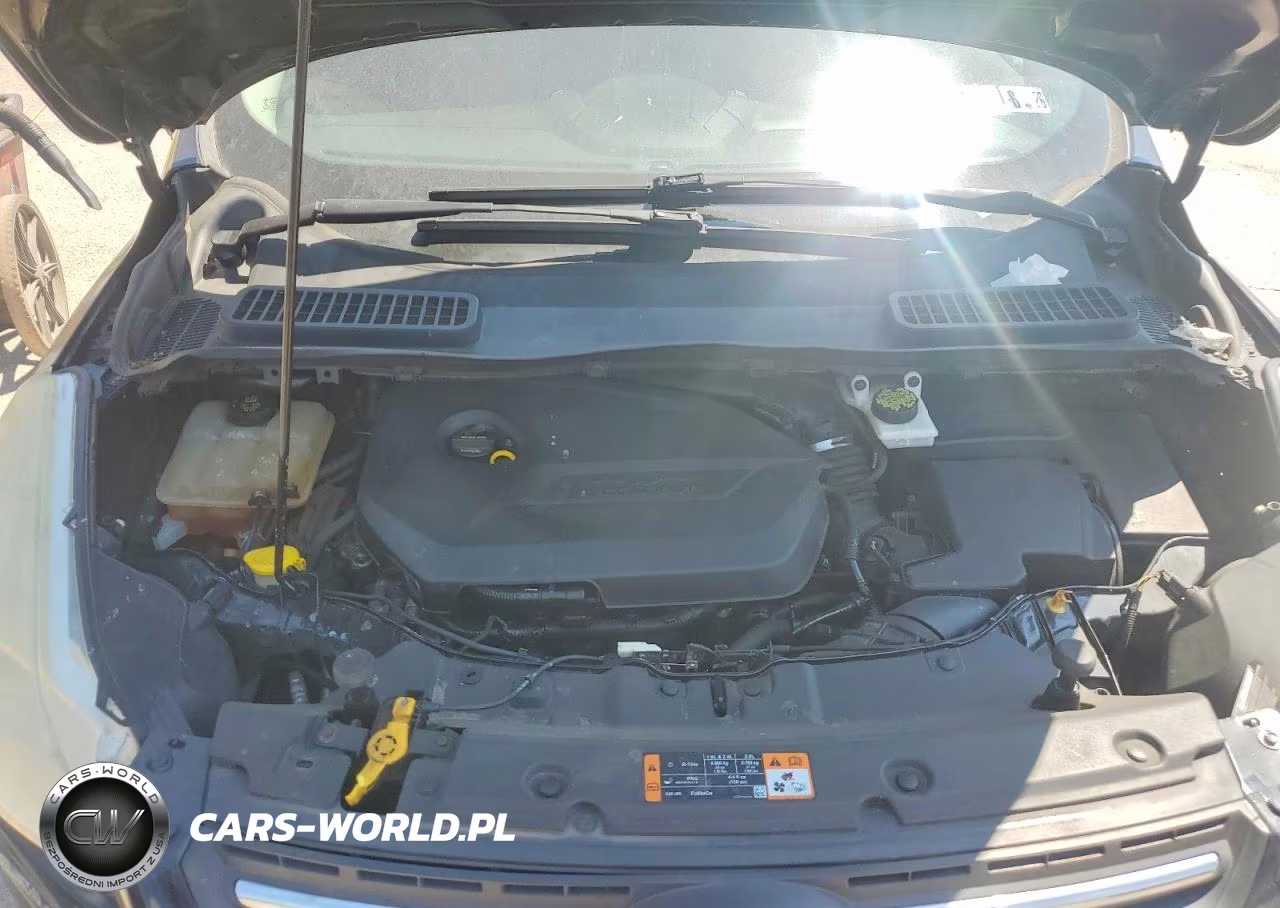 2015 Ford Escape Se VIN:1FMCU0GX9FUA02766 - 12