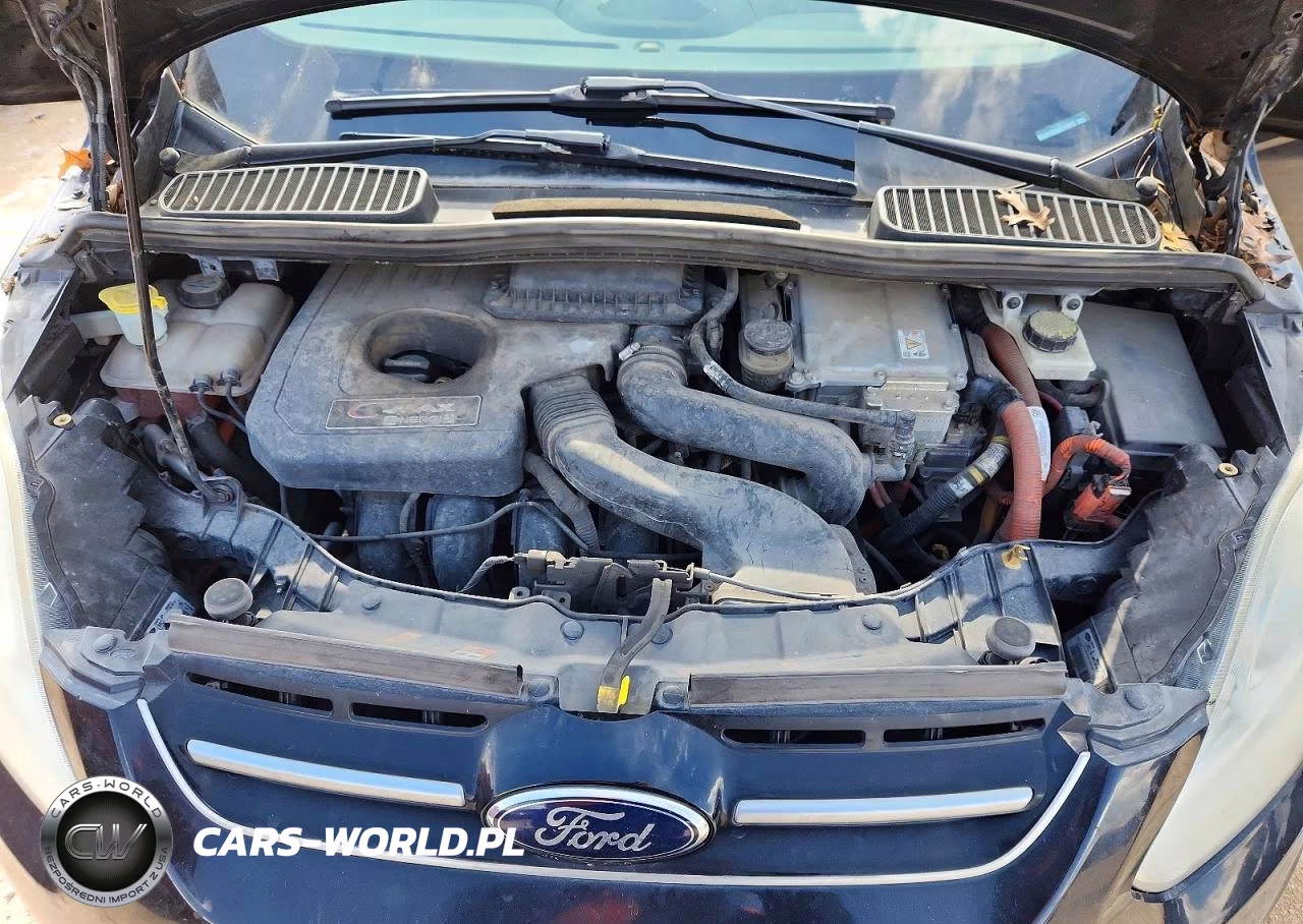 2013 Ford C-Max Premium VIN:1FADP5CU8DL514973 - 11