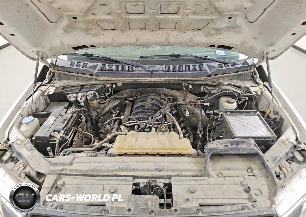 2019 Ford F150 Supercrew VIN:1FTEW1E57KFD01525 - 11