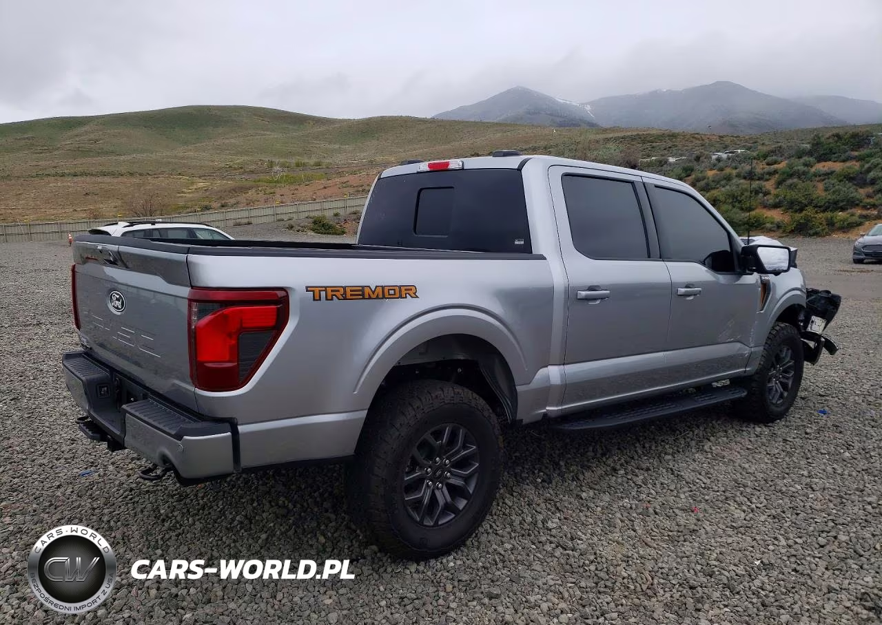 2025 Ford F150 Tremor VIN:1FTFW4L81SFC52602 - 3