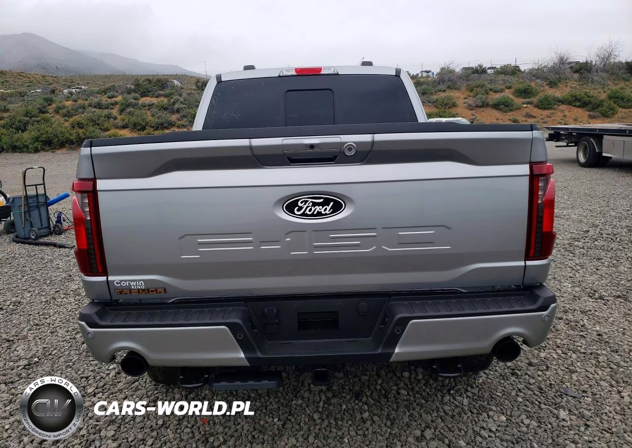 2025 Ford F150 Tremor VIN:1FTFW4L81SFC52602 - 6
