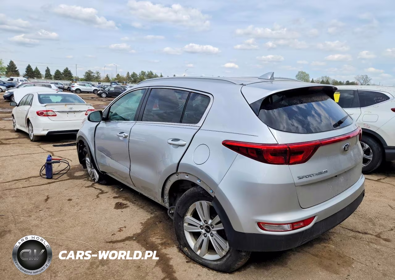 2017 Kia Sportage Lx VIN:KNDPM3ACXH7293499 - 2