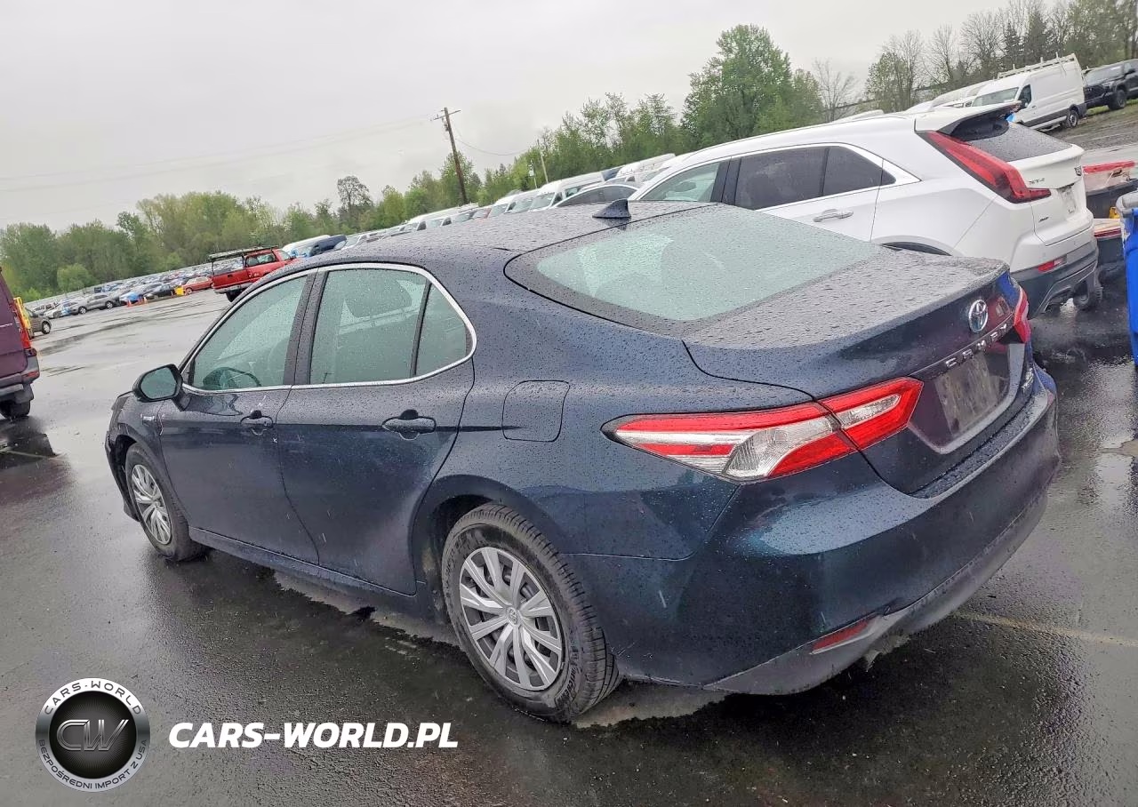2020 Toyota Camry Le VIN:4T1C31AK5LU537630 - 2