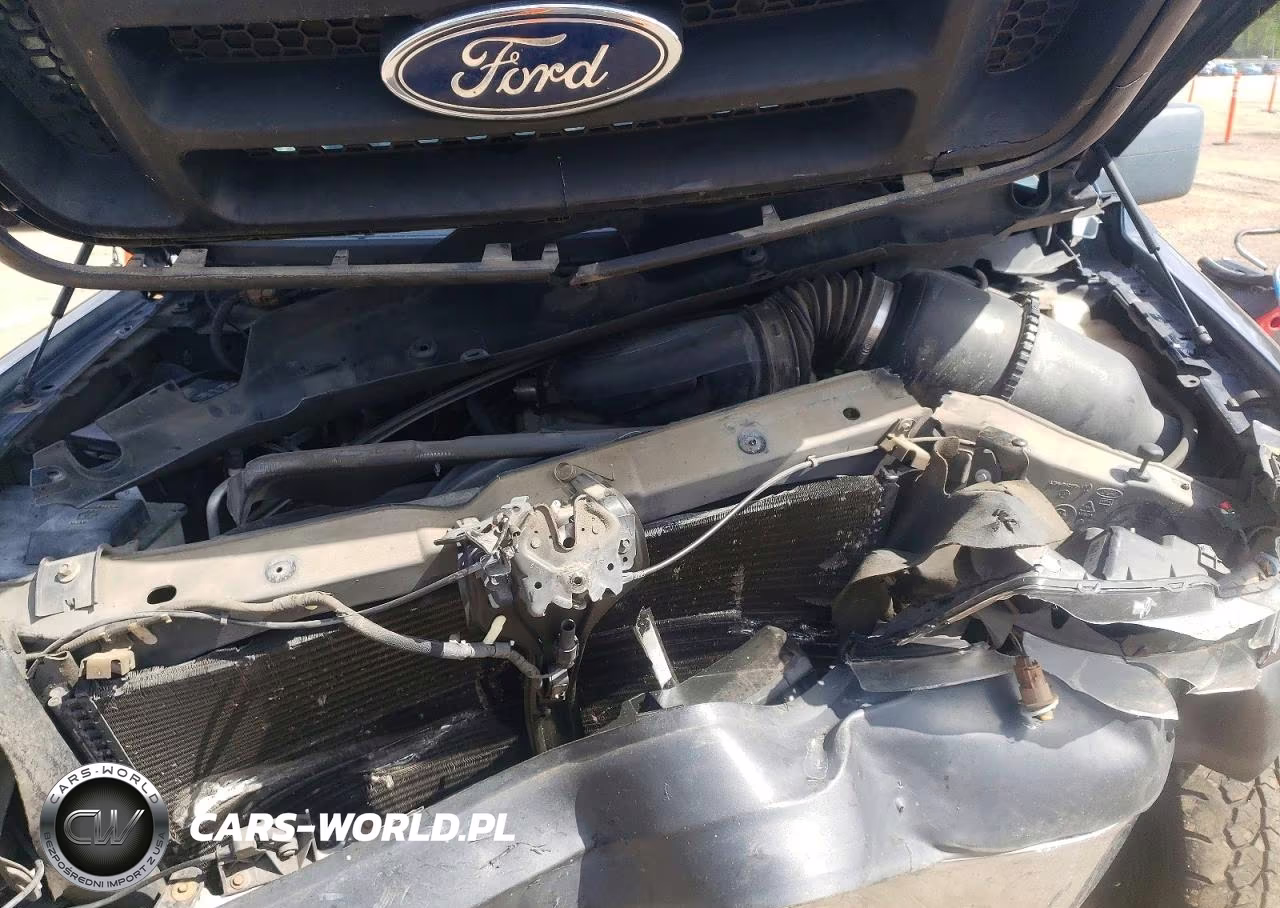 2005 Ford F150 VIN:1FTRX12W65FA66342 - 11