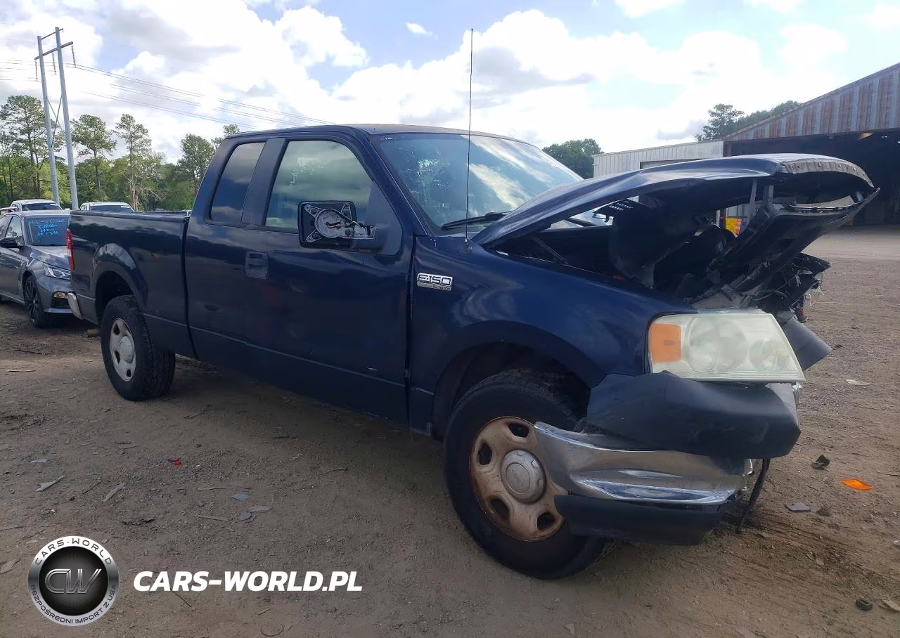 2005 Ford F150 VIN:1FTRX12W65FA66342 - 4