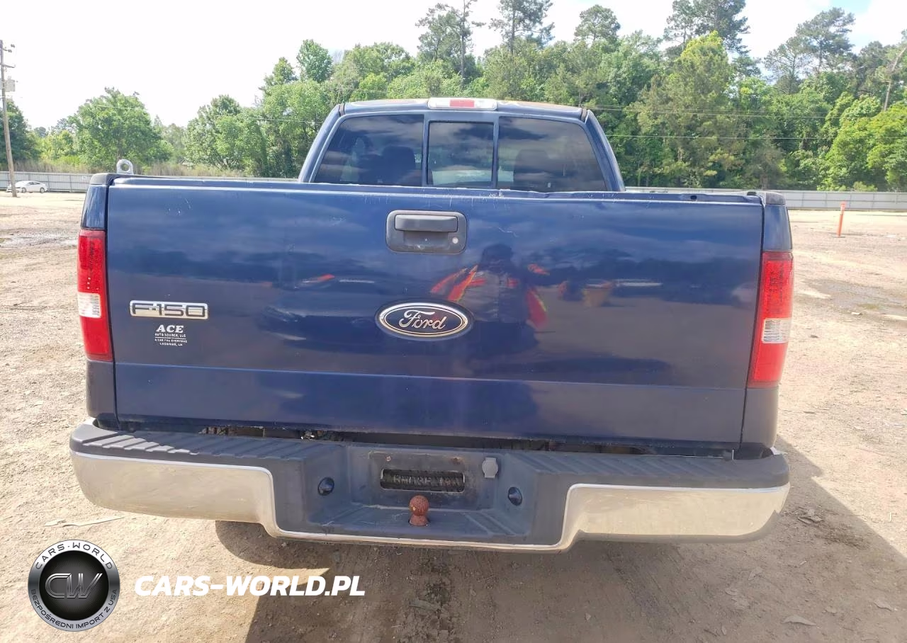 2005 Ford F150 VIN:1FTRX12W65FA66342 - 6