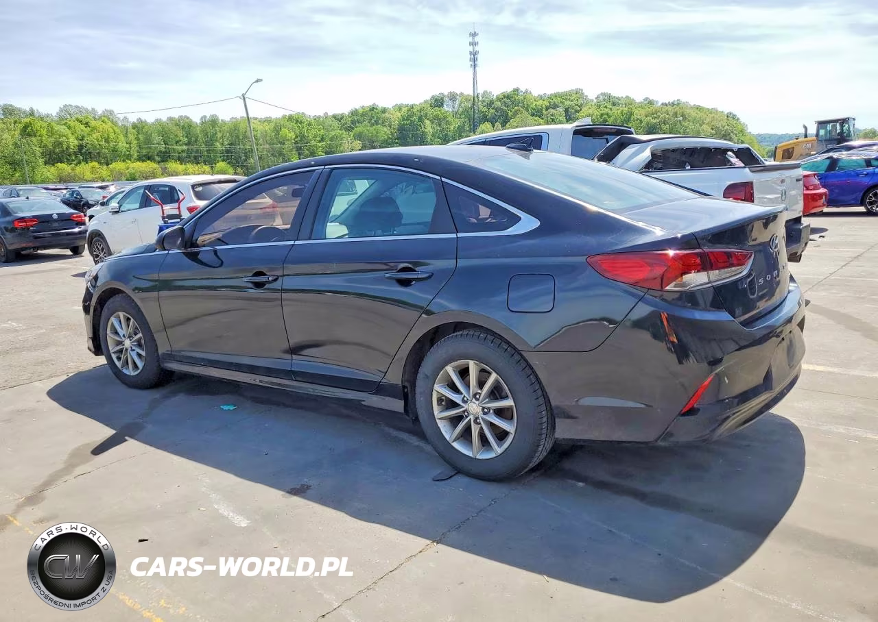 2019 Hyundai Sonata Se VIN:5NPE24AF0KH742656 - 2
