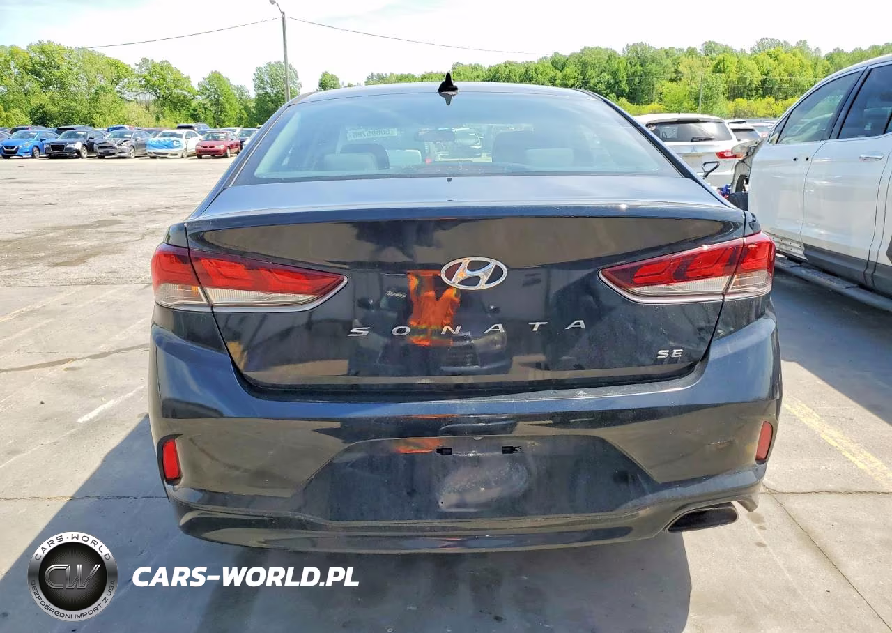 2019 Hyundai Sonata Se VIN:5NPE24AF0KH742656 - 6