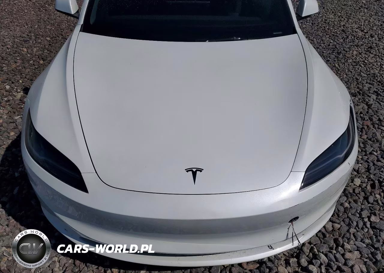 2025 Tesla Model 3 VIN:5YJ3E1EA5SF992341 - 11