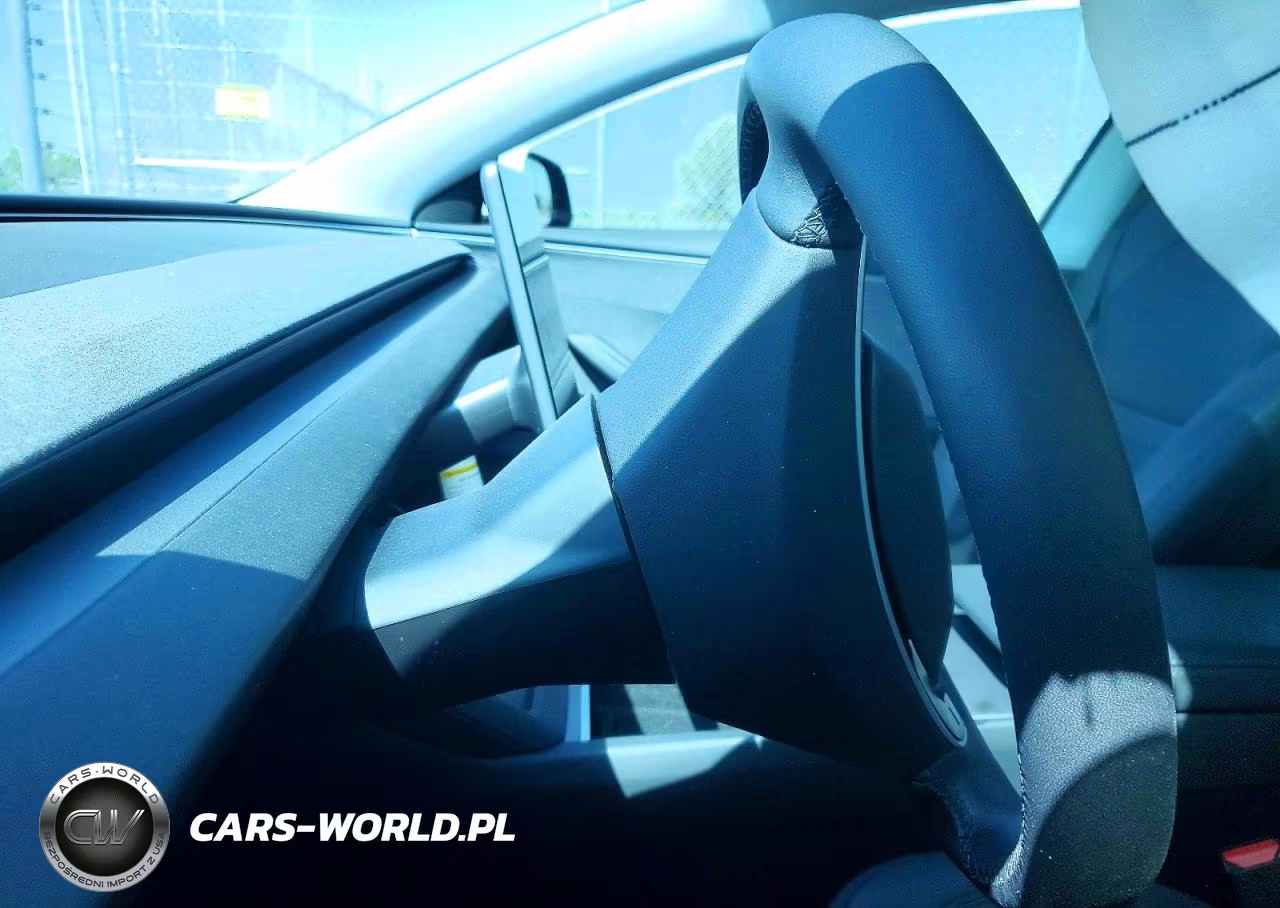 2025 Tesla Model 3 VIN:5YJ3E1EA5SF992341 - 8