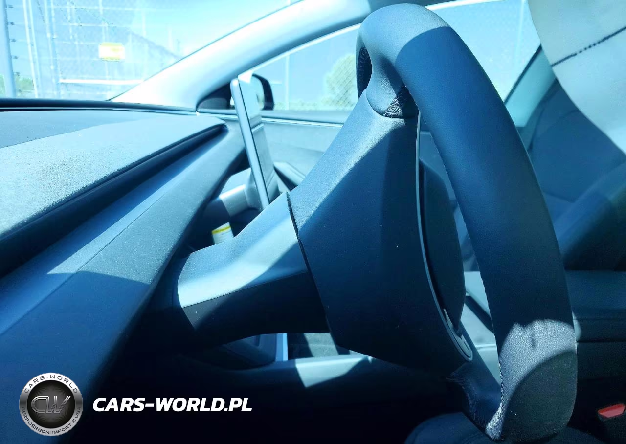2025 Tesla Model 3 VIN:5YJ3E1EA5SF992341 - 9