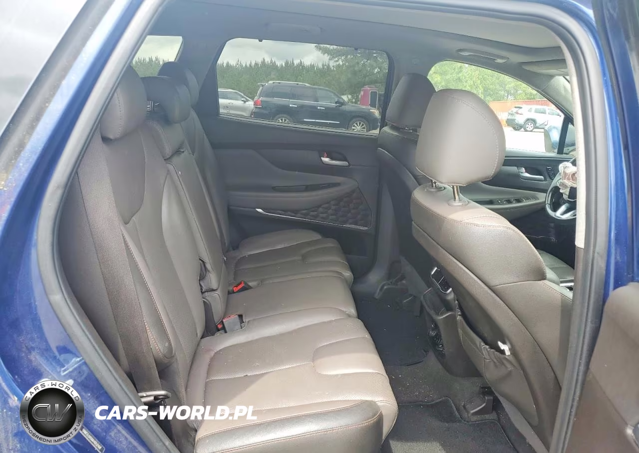 2019 Hyundai Santa Fe Ultimate 2.4L VIN:5NMS53AD6KH052166 - 10