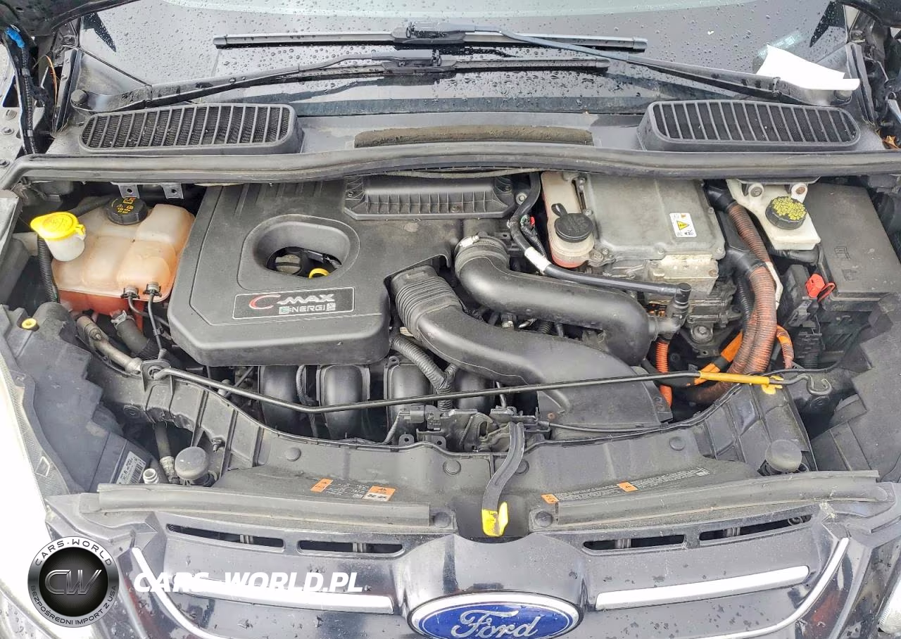 2015 Ford C-Max Premium Sel VIN:1FADP5CU2FL109260 - 11