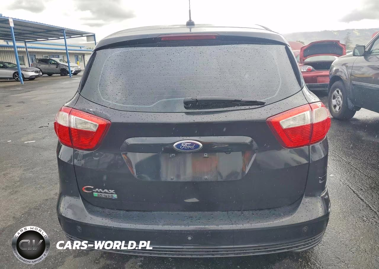 2015 Ford C-Max Premium Sel VIN:1FADP5CU2FL109260 - 6