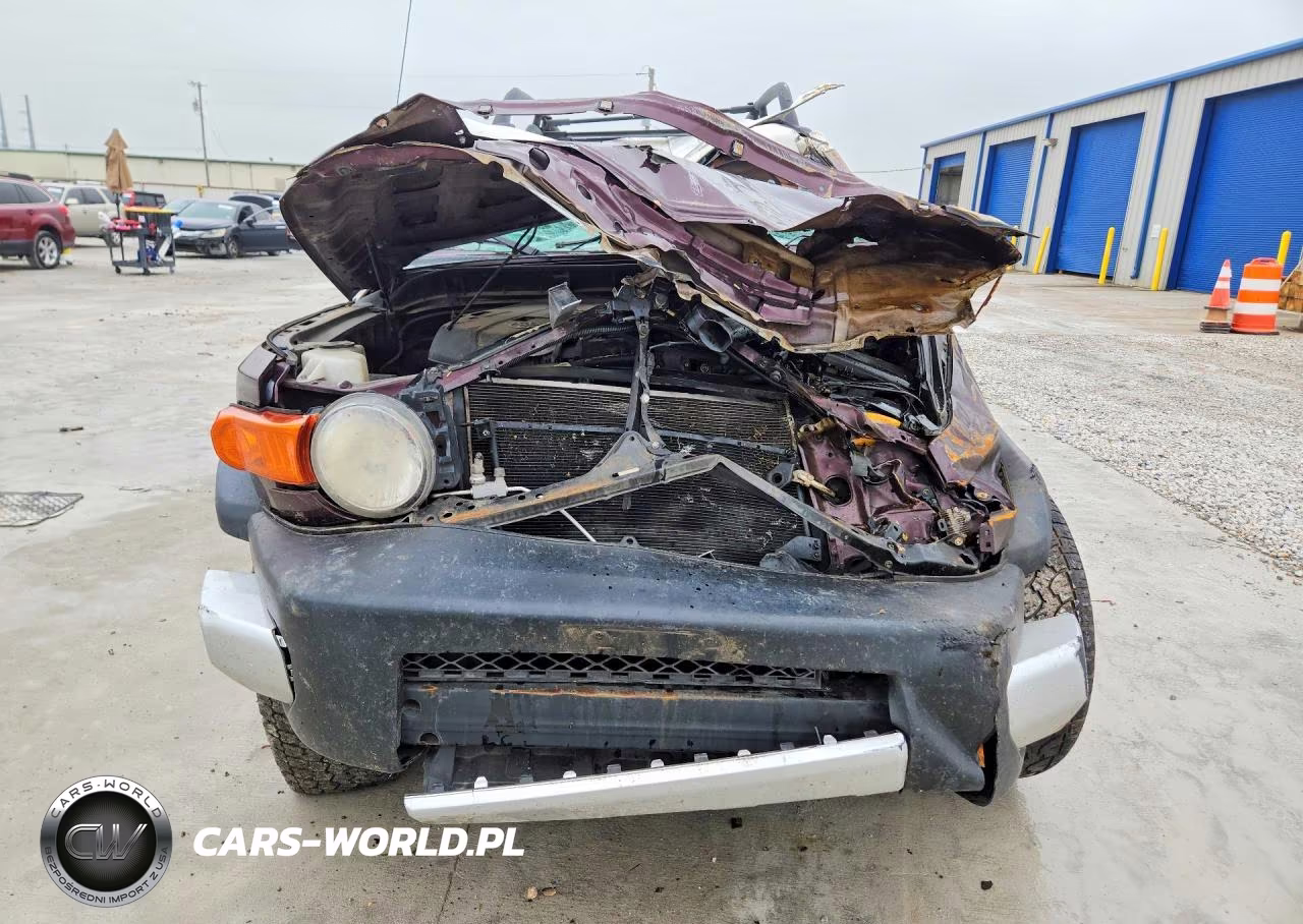 2007 Toyota Fj Cruiser Base VIN:JTEBU11F170021953 - 5