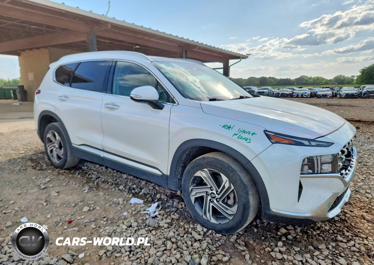 2021 Hyundai Santa Fe Sel VIN:5NMS34AJXMH327638 - 4