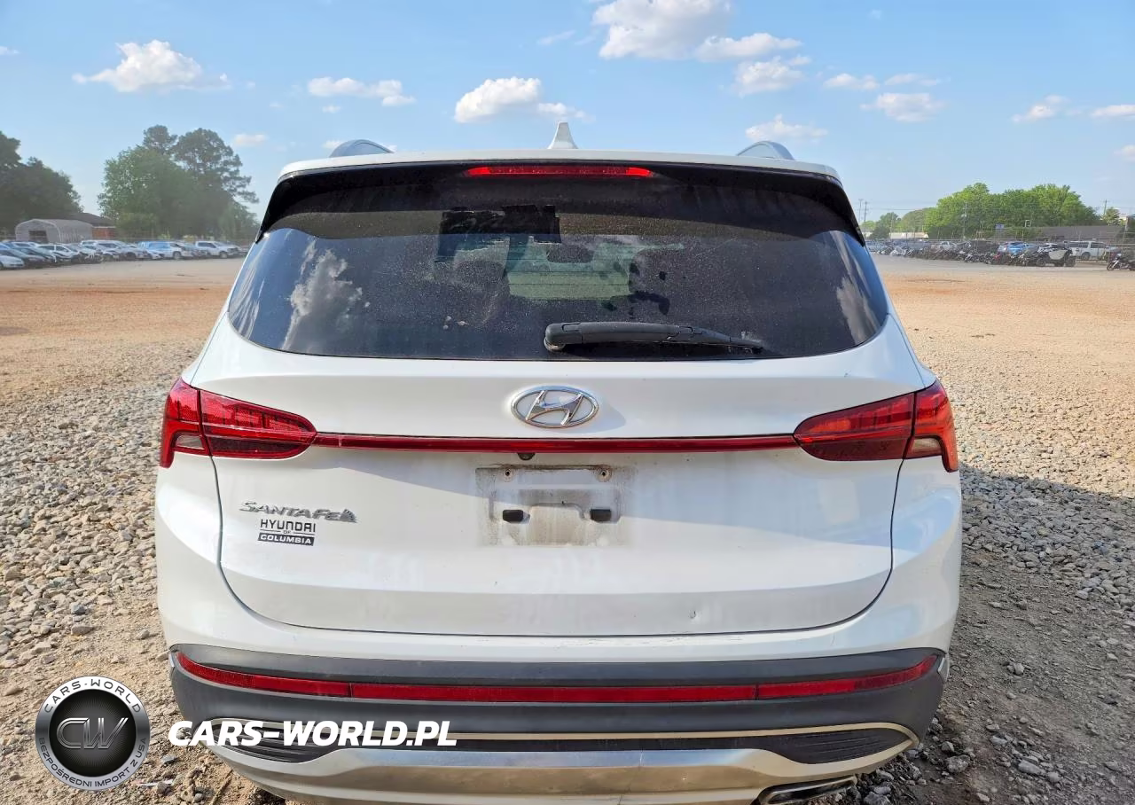 2021 Hyundai Santa Fe Sel VIN:5NMS34AJXMH327638 - 6