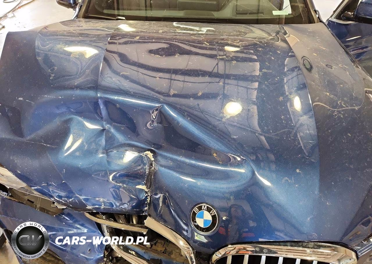 2020 BMW X3 Sdrive30I VIN:5UXTY3C07L9D65117 - 12