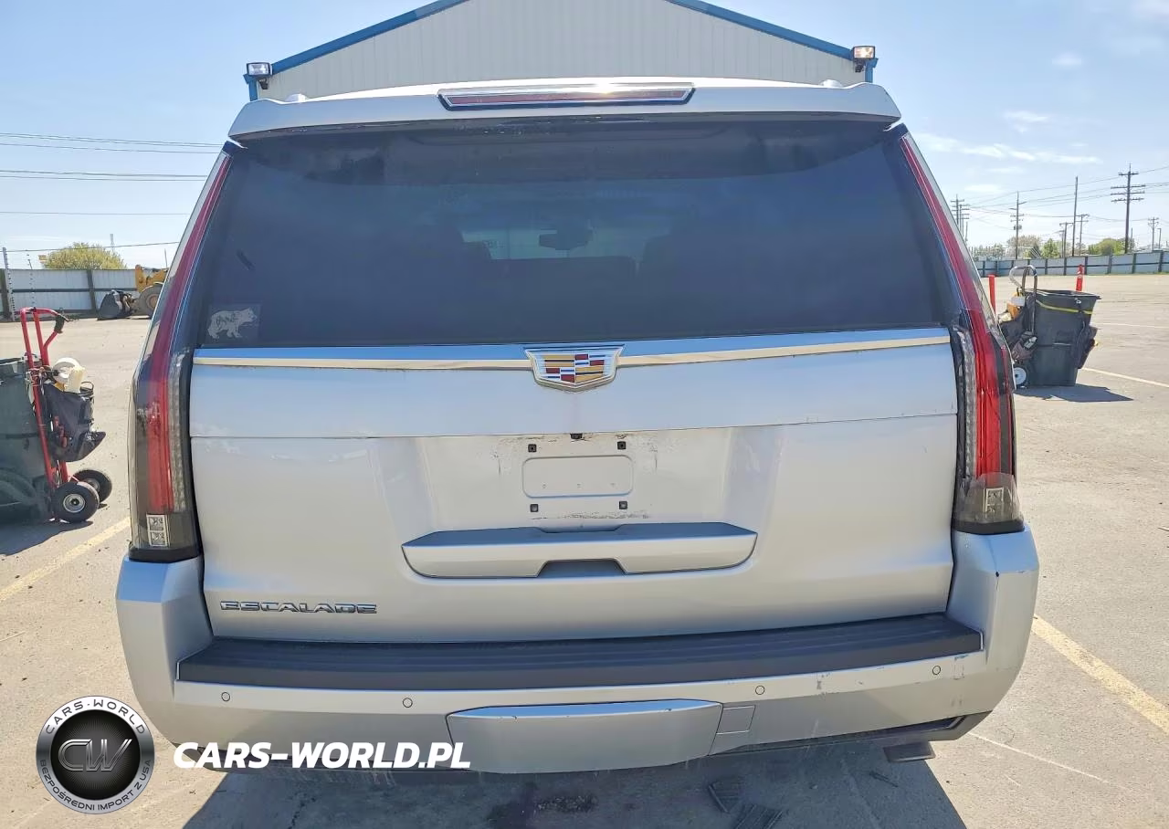 2016 Cadillac Escalade Luxury VIN:1GYS4BKJ7GR183329 - 6