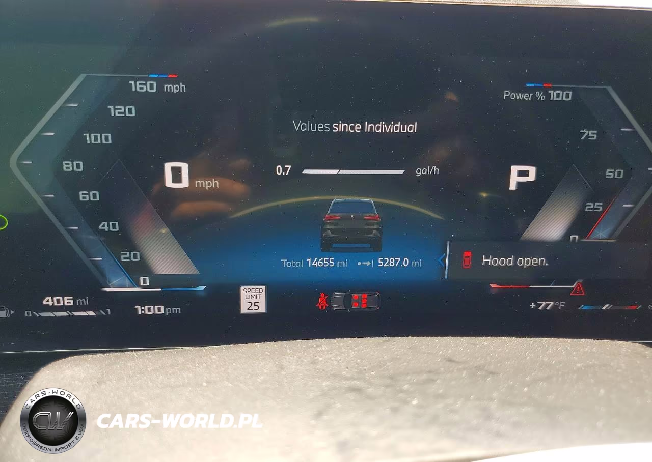 2025 BMW X5 M60I VIN:5UX33EU04S9Y01491 - 9