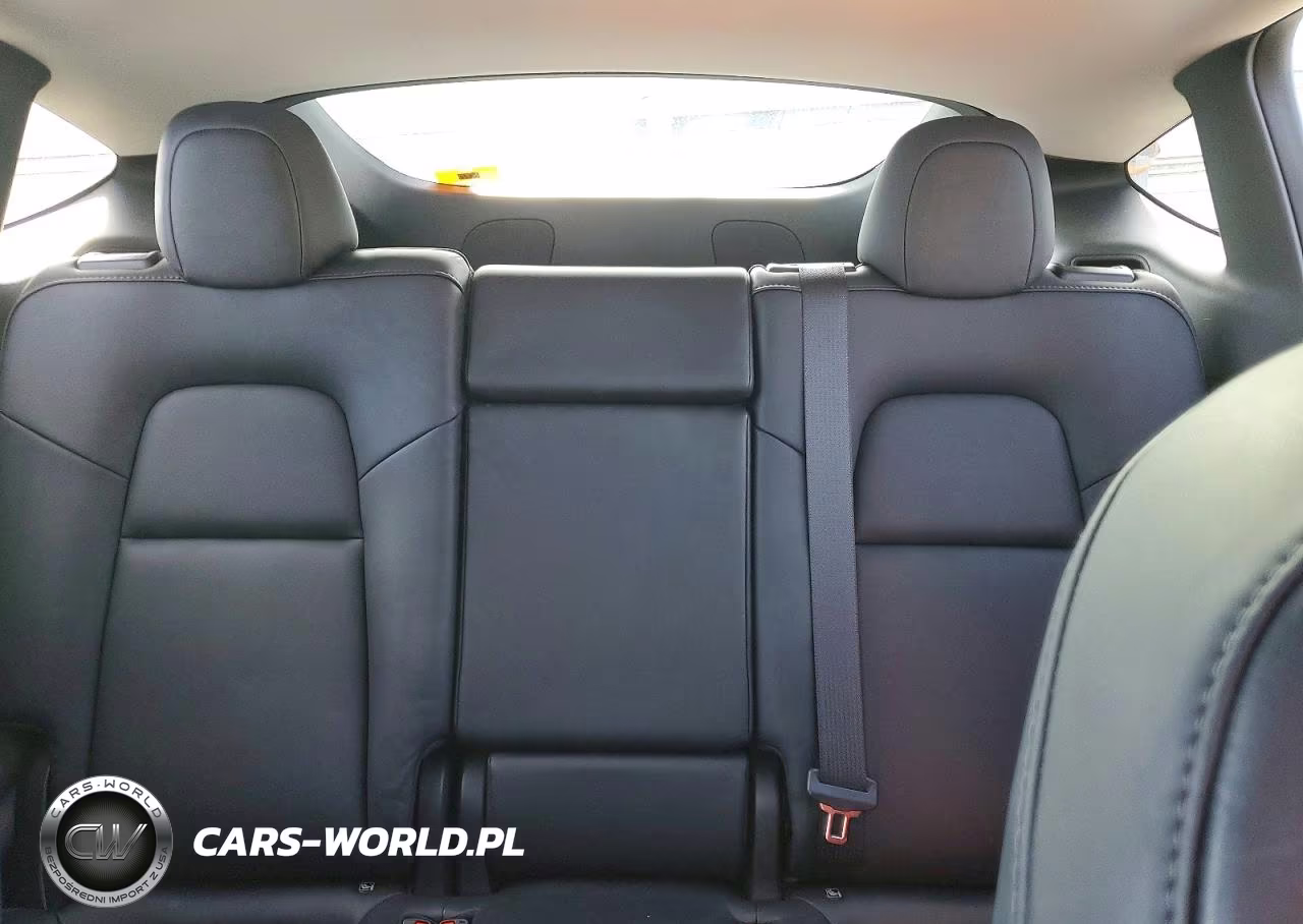 2023 Tesla Model Y VIN:7SAYGDEF4PF911501 - 10