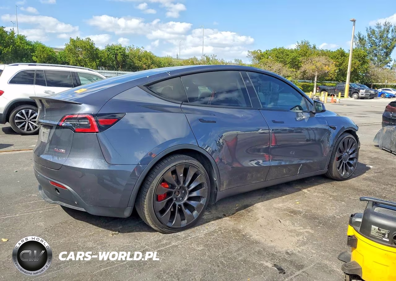 2023 Tesla Model Y VIN:7SAYGDEF4PF911501 - 3