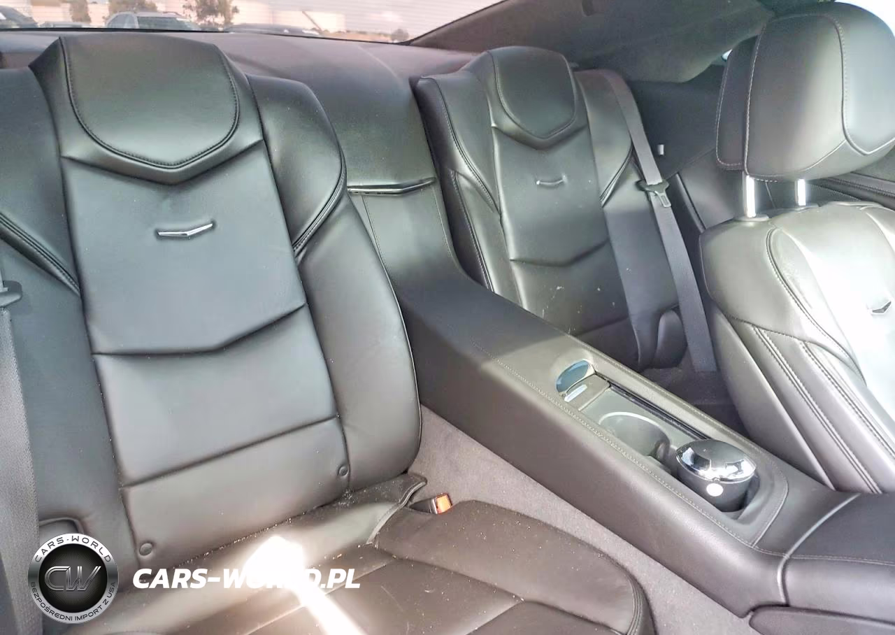 2014 Cadillac Elr Luxury VIN:1G6RR1E46EU601222 - 10