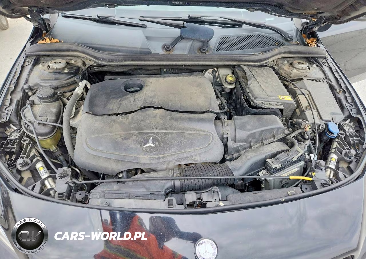 2014 Mercedes-Benz Cla 250 VIN:WDDSJ4EB3EN063116 - 11