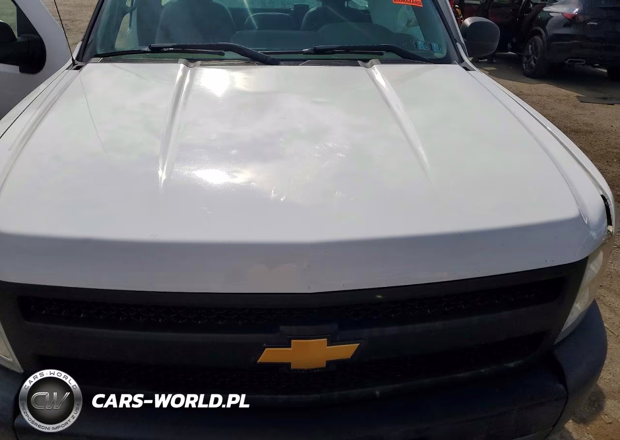 2012 Chevrolet Silverado C1500 VIN:1GCNCPEX1CZ208643 - 11