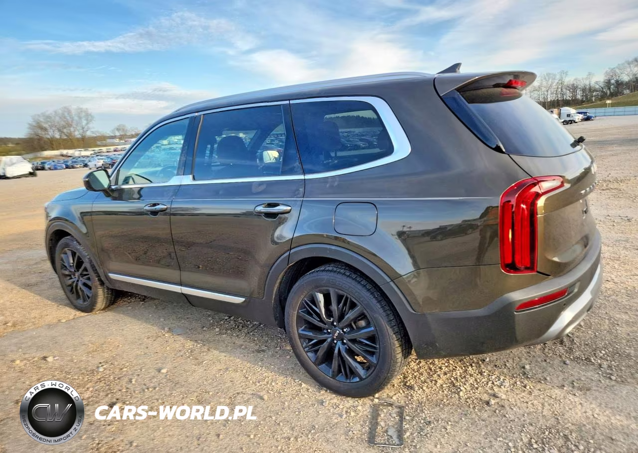 2022 Kia Telluride Sx VIN:5XYP54HC3NG289141 - 2