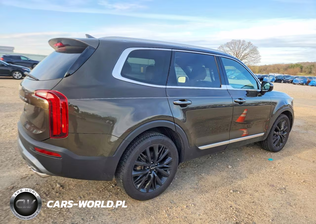 2022 Kia Telluride Sx VIN:5XYP54HC3NG289141 - 3