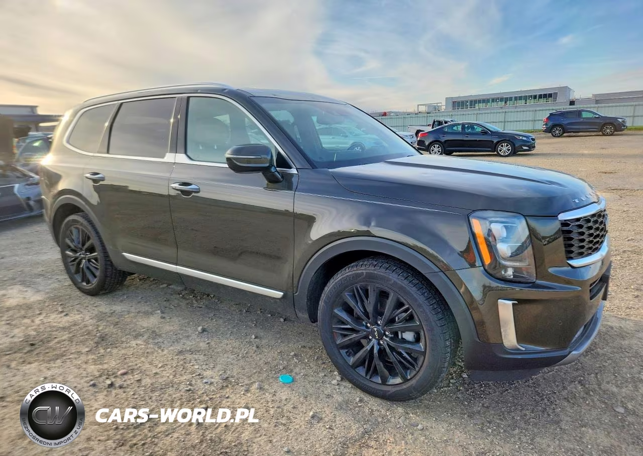 2022 Kia Telluride Sx VIN:5XYP54HC3NG289141 - 4