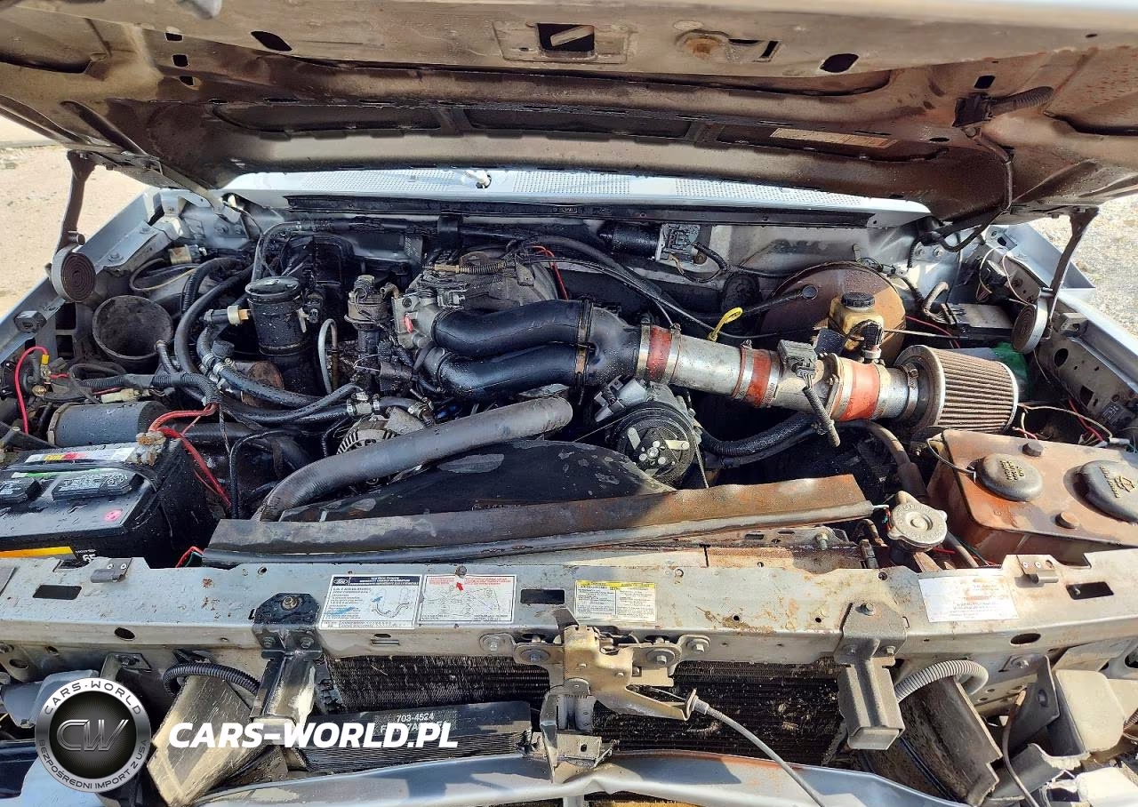 1994 Ford F150 VIN:1FTEF15NXRKA08798 - 11