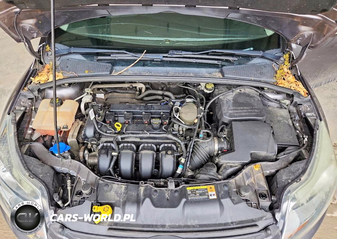 2014 Ford Focus Se VIN:1FADP3F21EL197876 - 11