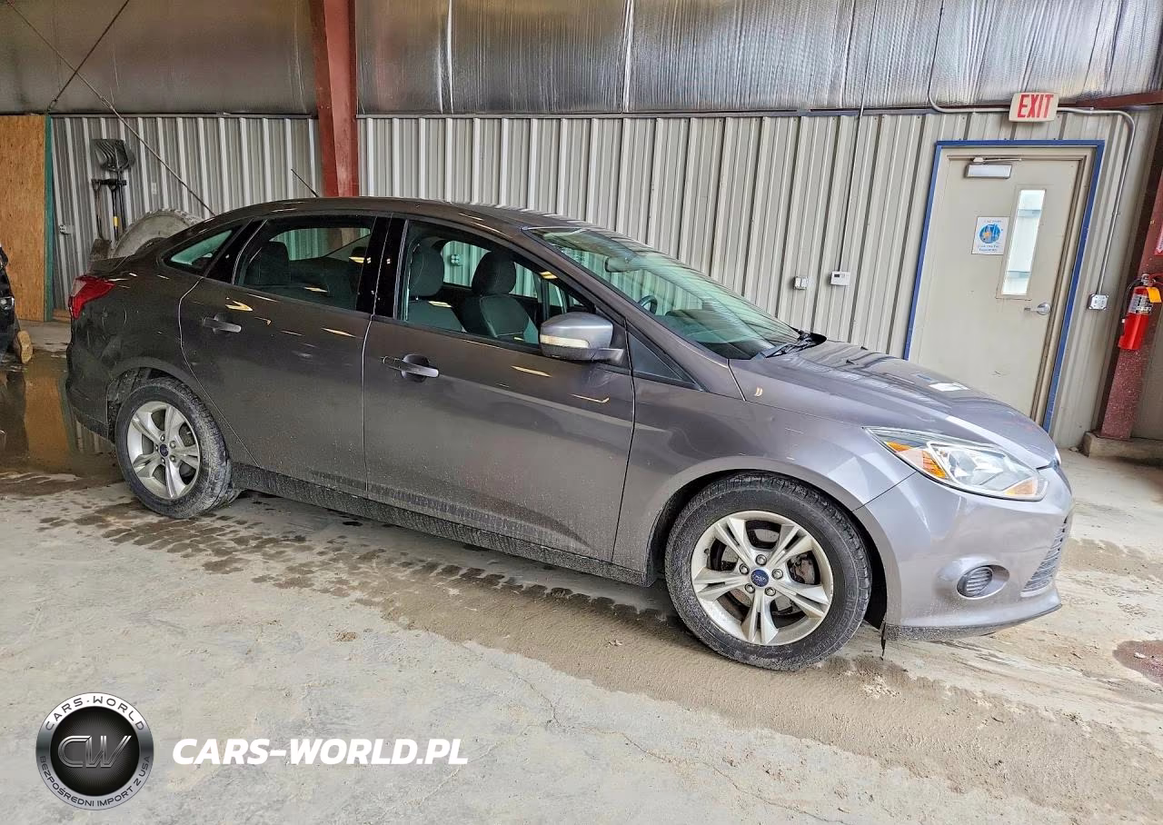 2014 Ford Focus Se VIN:1FADP3F21EL197876 - 4