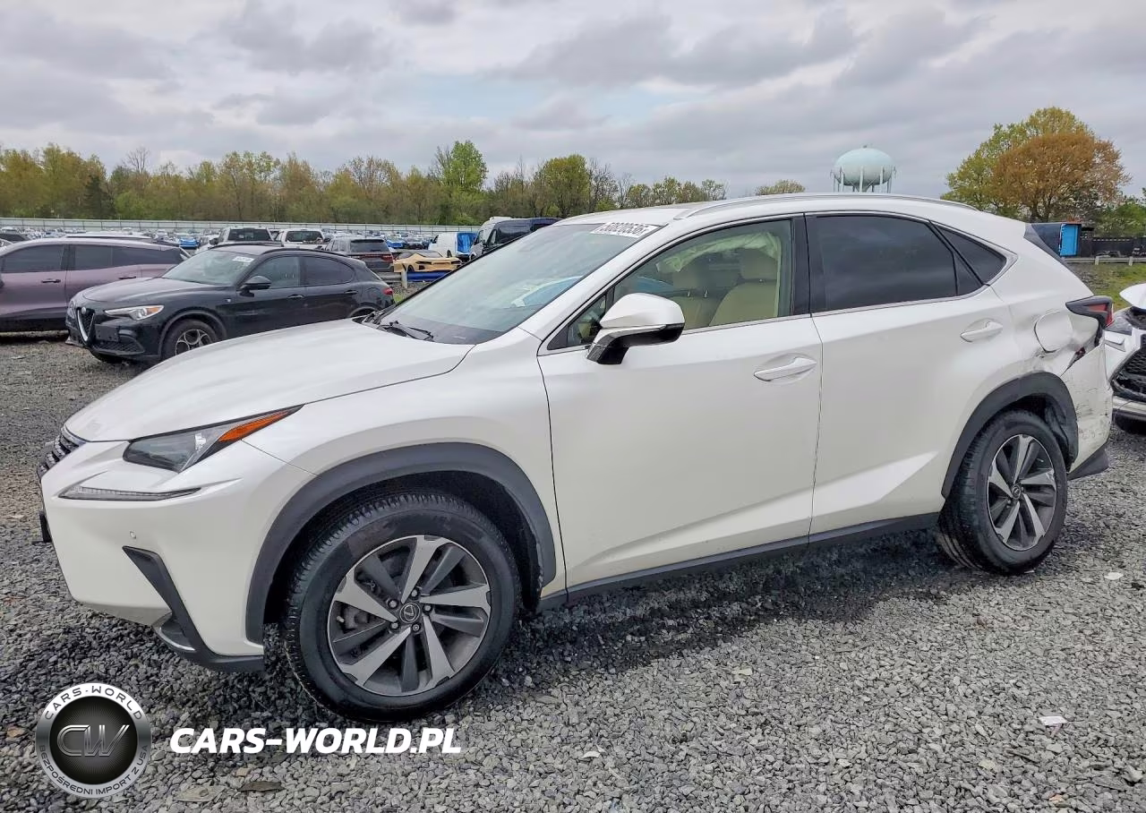 2020 Lexus Nx 300