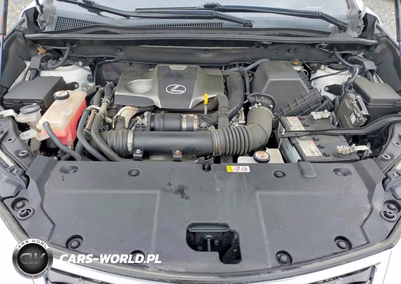2020 Lexus Nx 300 VIN:JTJGARDZ8L2234630 - 12
