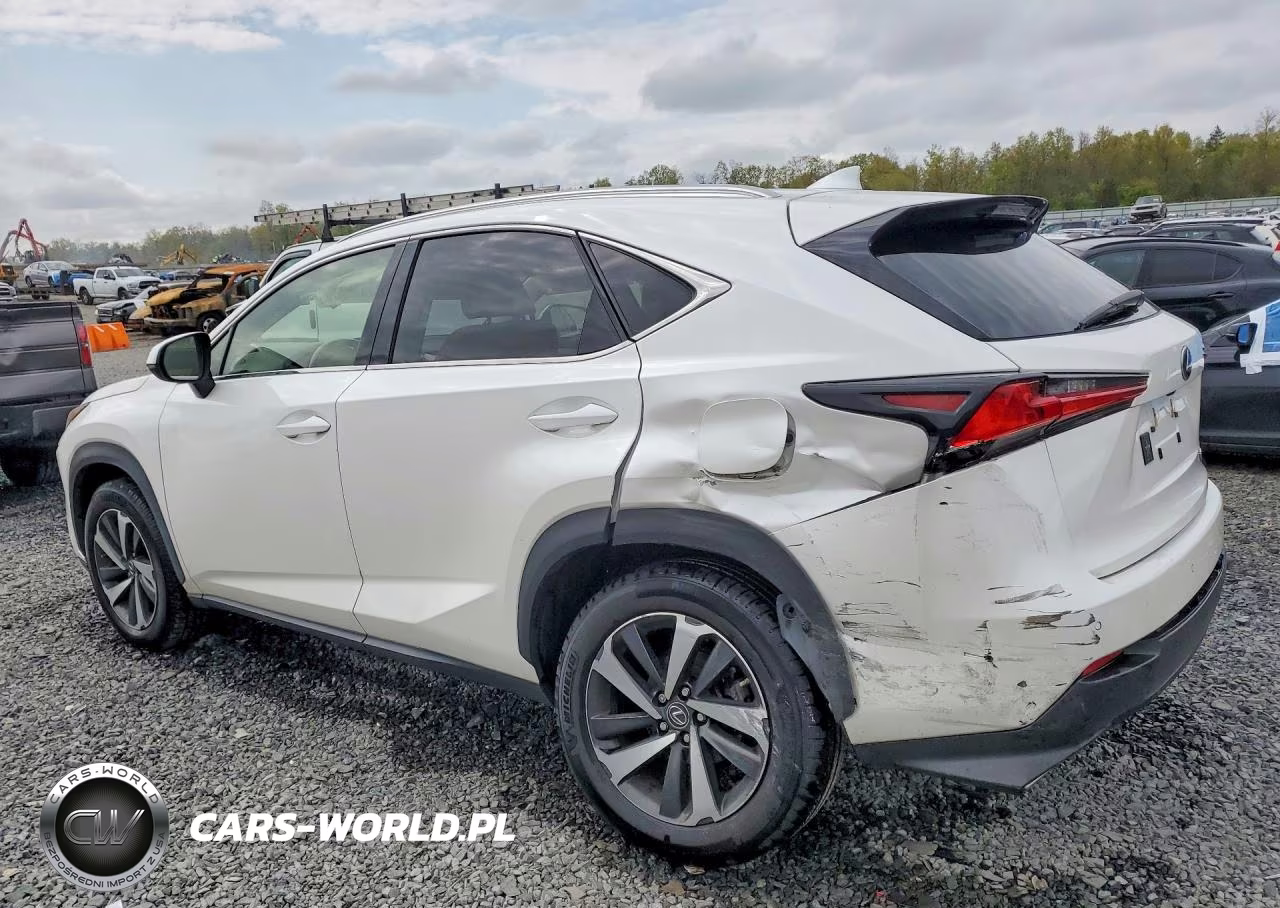 2020 Lexus Nx 300 VIN:JTJGARDZ8L2234630 - 2