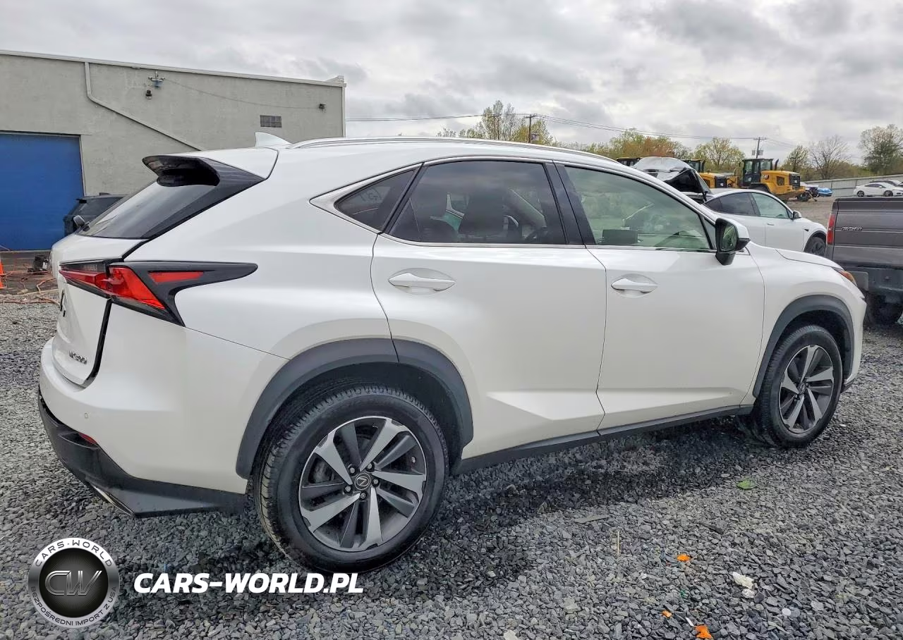 2020 Lexus Nx 300 VIN:JTJGARDZ8L2234630 - 3