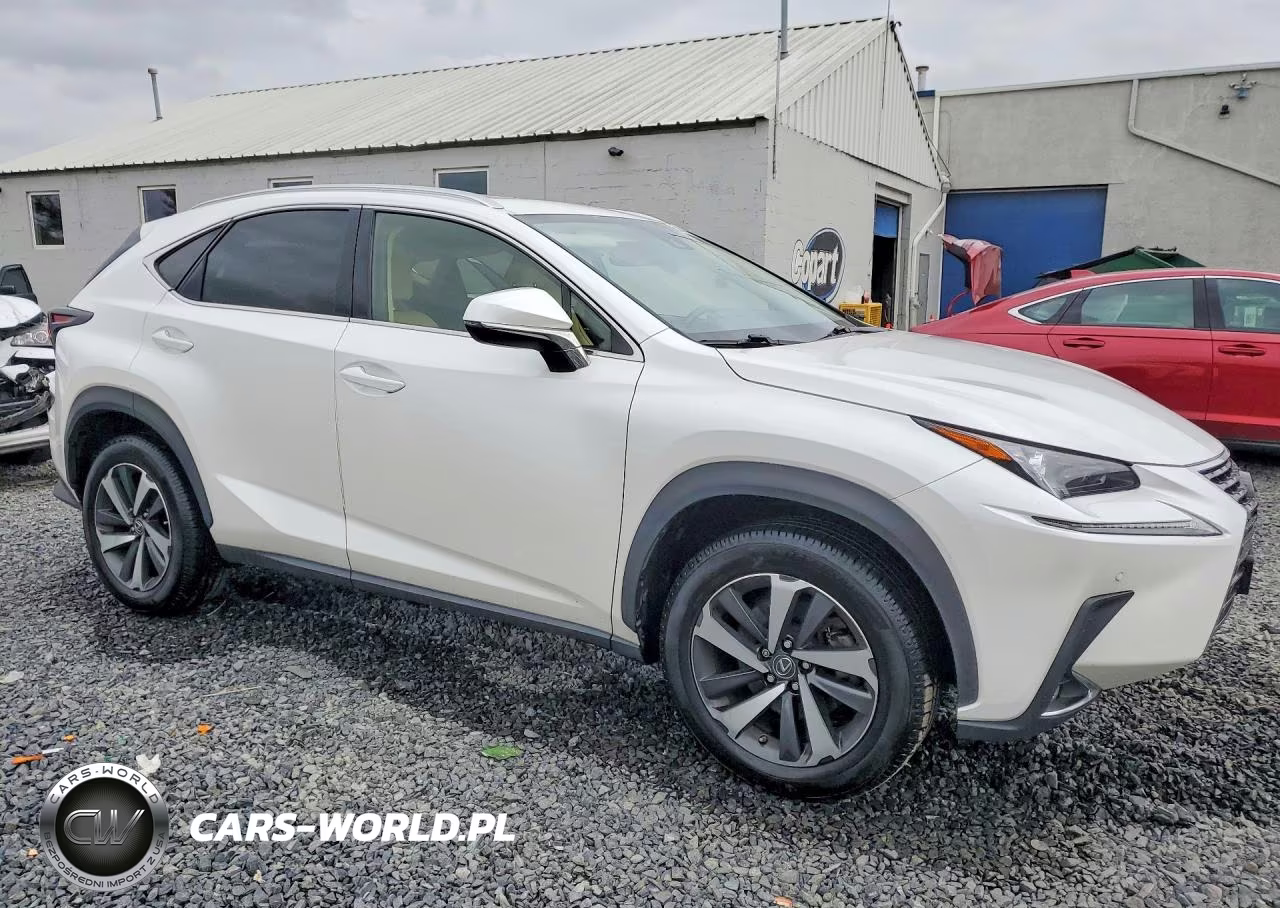 2020 Lexus Nx 300 VIN:JTJGARDZ8L2234630 - 4