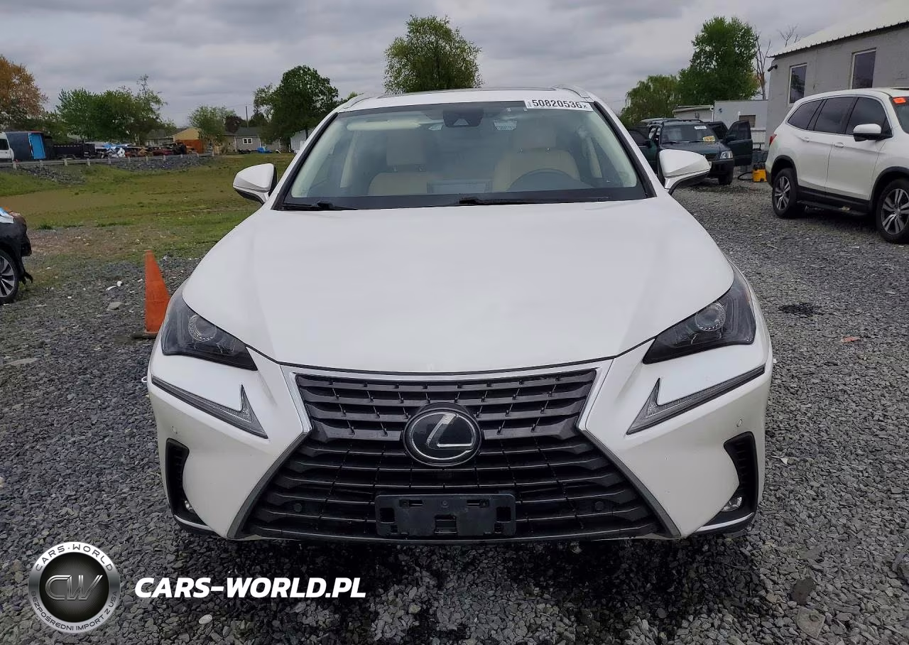 2020 Lexus Nx 300 VIN:JTJGARDZ8L2234630 - 5